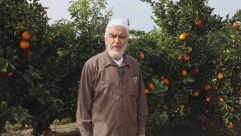 شاهد: جولة حنين في أرضنا المباركة من بيارة يافا